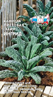 Капуста листовая Ингрид Седек