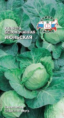 Капуста белокочанная Июньская Седек