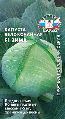 Капуста белокочанная Зима F1 Седек