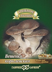 Грибы Вешенка Королевская (Гавр)