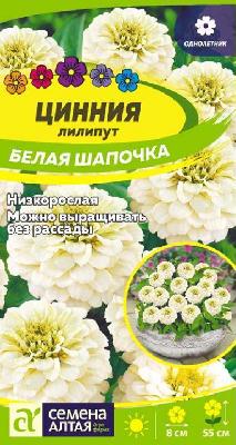 Цинния лилипут Белая Шапочка Семена Алтая