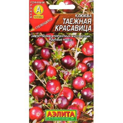 Клюква крупноплодная Таежная красавица Аэлита