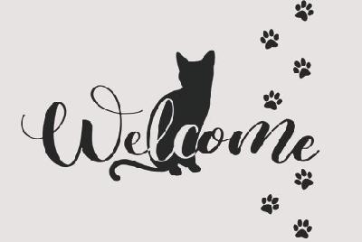 Коврик влаговпитывающий 50*80см серый  "Welcome L130" Dekorelle