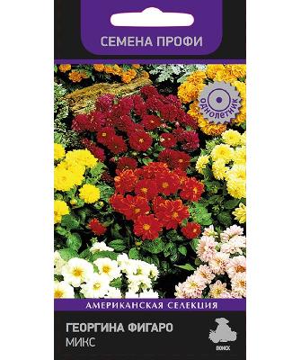 Георгина Фигаро Микс Профи Поиск