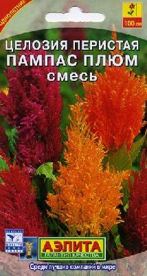 Целозия перистая Пампас Плюм (Аэлита)