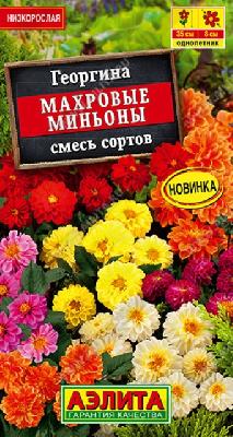 Георгина Махровые миньоны смесь сортов Аэлита