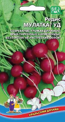 Редис Мулатка Уральский Дачник