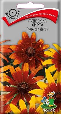 Рудбекия хирта Глориоза Дэйзи