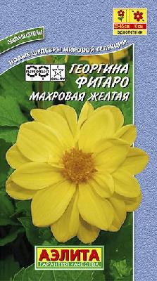 Георгина Фигаро желтый, махровый (Аэлита)