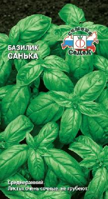 Базилик Санька Седек