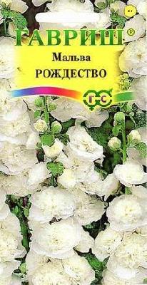 Мальва Рождество (Гавриш)