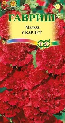Мальва Скарлет (Гавриш)