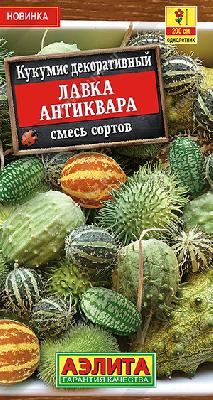 Кукумис декоративный Лавка антиквара Аэлита