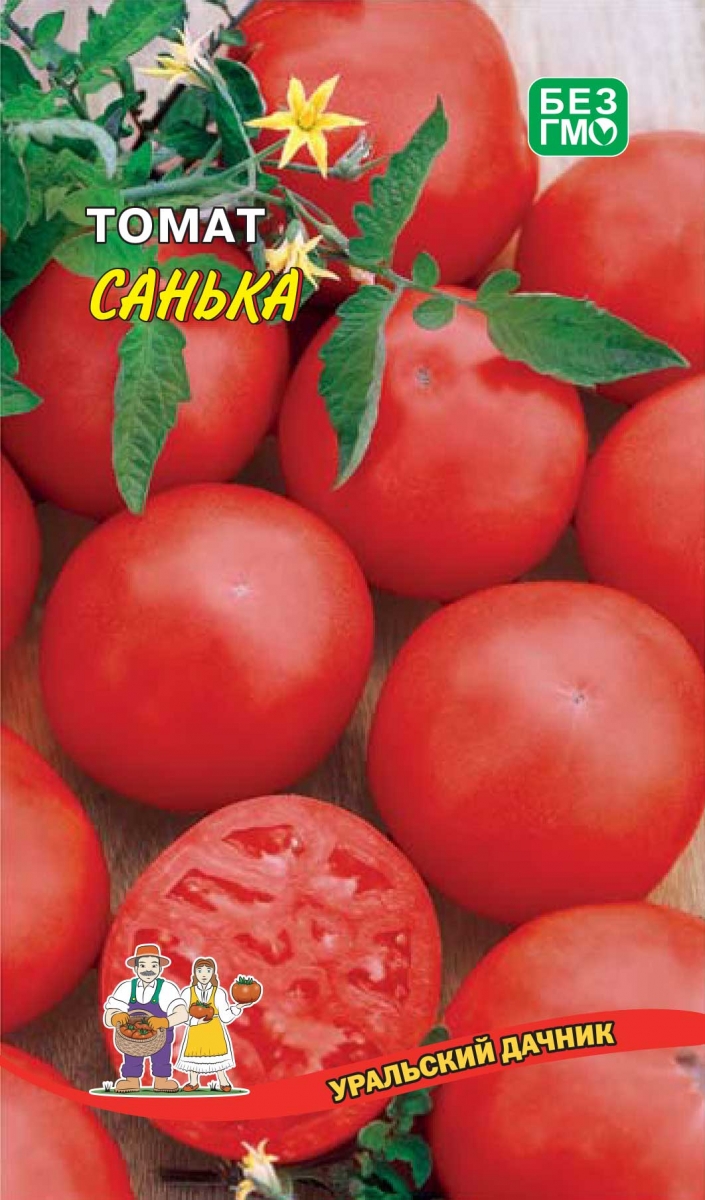 Томат Санька Купить Семена