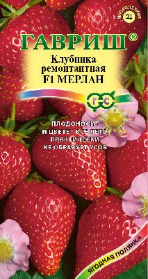 Земляника (Клубника) Мерлан F1 Гавриш