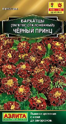 Бархатцы Черный принц отклоненные Аэлита