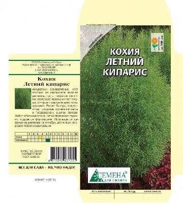 Кохия Летний кипарис (Семена для Сибири)