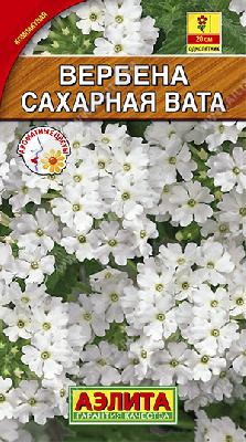 Вербена Сахарная вата (Аэлита)