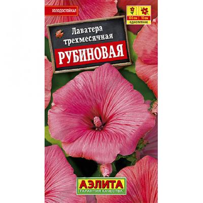 Лаватера Рубиновая Аэлита