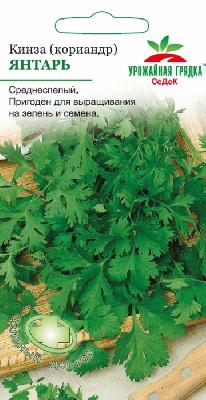 Кориандр (кинза) Янтарь Седек