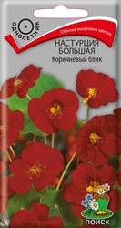 Настурция большая Коричневый блик Поиск