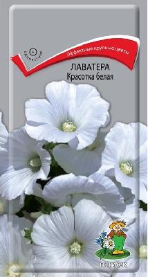 Лаватера красотка Белая Поиск