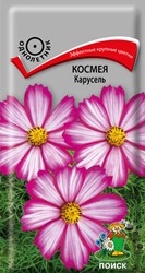Космея Карусель Поиск