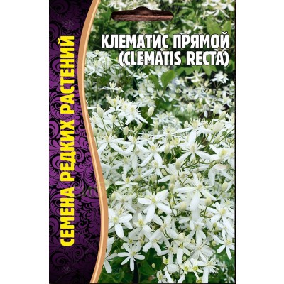 Клематис Прямой Семена редких растений