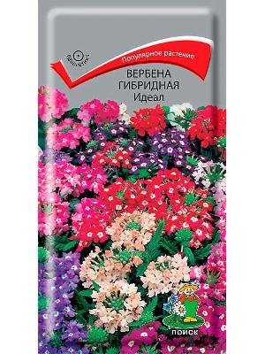 Вербена гибридная Звездная пыль Поиск 0,2гр (20см)