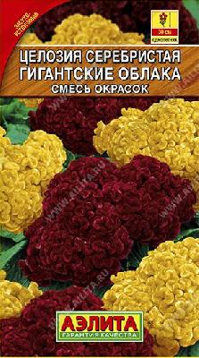 Целозия серебристая Гигантские облака Аэлита
