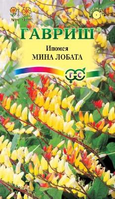 Ипомея Мина Лобата Гавриш