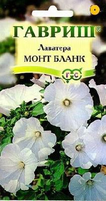 Лаватера Монт Бланк (Гавриш)