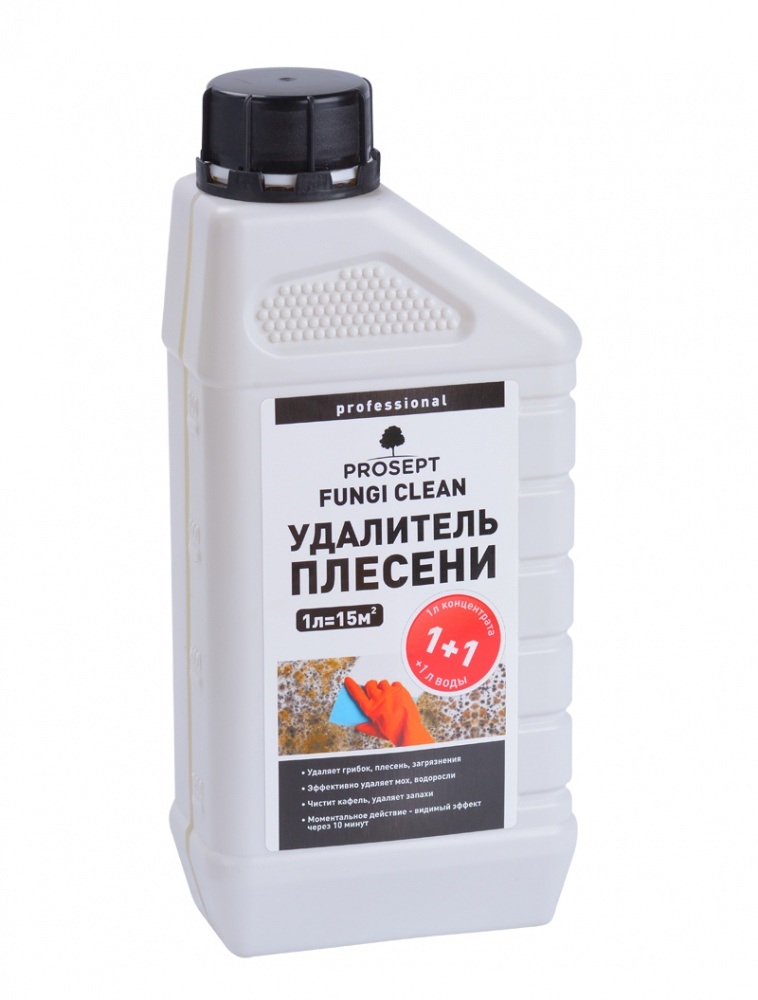 Удалитель плесени PROSEPT FUNGI CLEAN 1:1, 1л