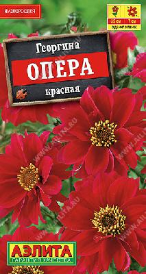 Георгина Опера красная Аэлита