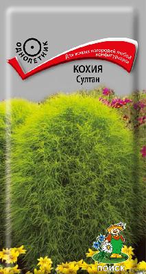 Кохия Султан Поиск