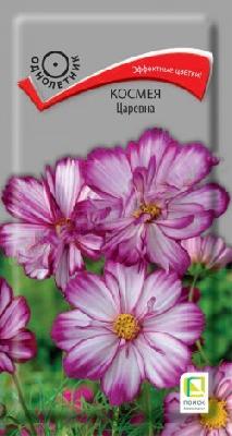 Космея Царевна Поиск