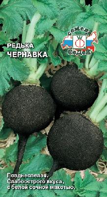 Редька Чернавка Седек