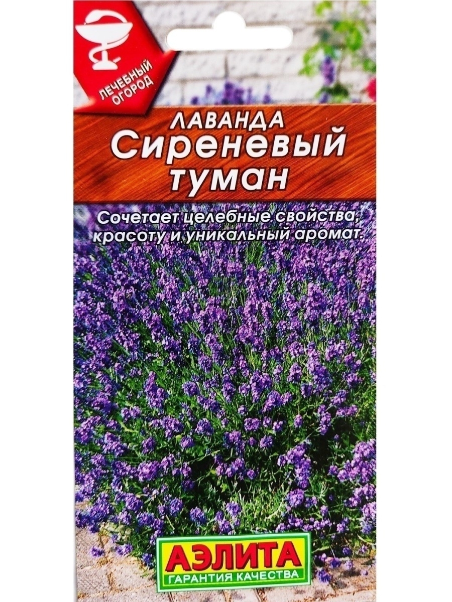 Семена лаванда интернет магазин. Лаванда узколистная семена. Сорта лаванды семена.