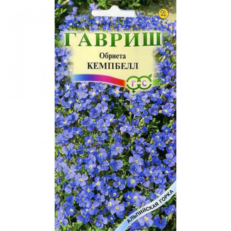 Обриета многолетняя семена фото