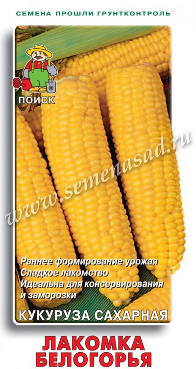 Кукуруза сахарная Лакомка Белогорья Поиск
