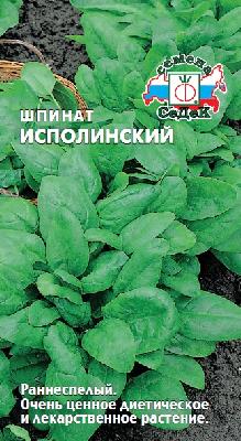 Шпинат Исполинский Седек