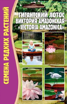 Лотос Гигантский Виктория Семена редких растений