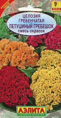 Целозия гребенчатая Петушиный гребешок (Аэлита)