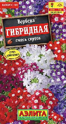 Вербена гибридная смесь сортов Аэлита