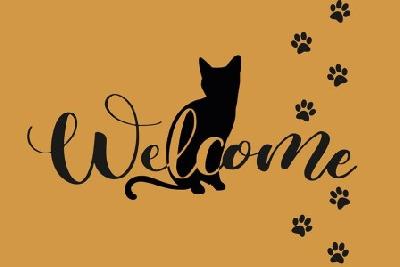 Коврик влаговпитывающий 50*80см оранжевый  "Welcome L132" Dekorelle