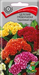 Целозия гребенчатая Коралловый сад Поиск