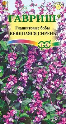Бобы гиацинтовые Вьющаяся сирень Гавриш