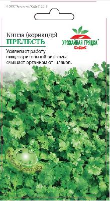 Кориандр (кинза) Прелесть Седек