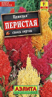 Целозия перистая, смесь сортов Аэлита