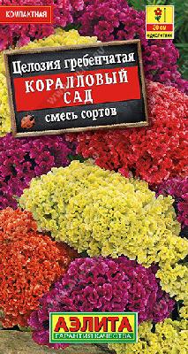 Целозия гребенчатая Коралловый сад Аэлита